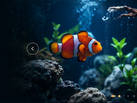 Sidumin Aquarium